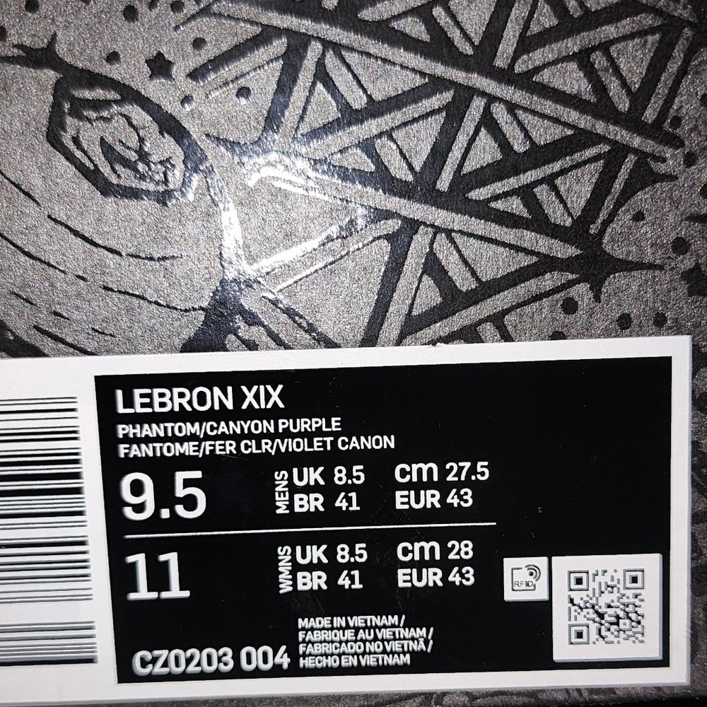 LeBron XIX